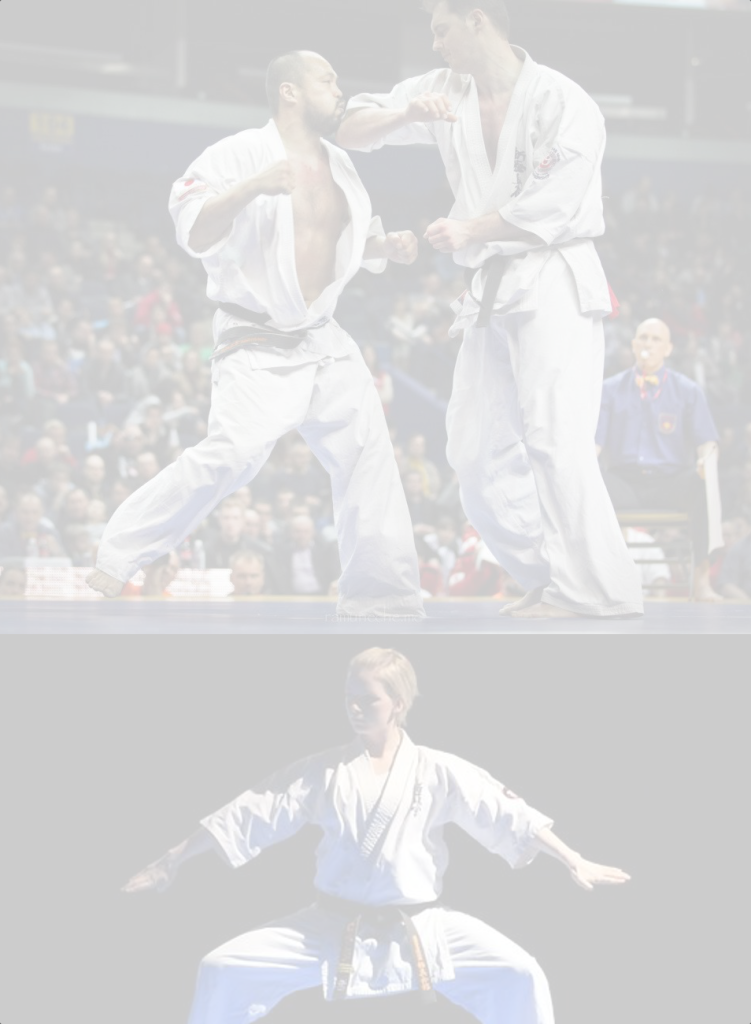 Dansk Karate Union