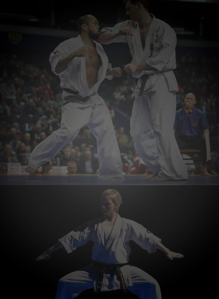 Dansk Karate Union